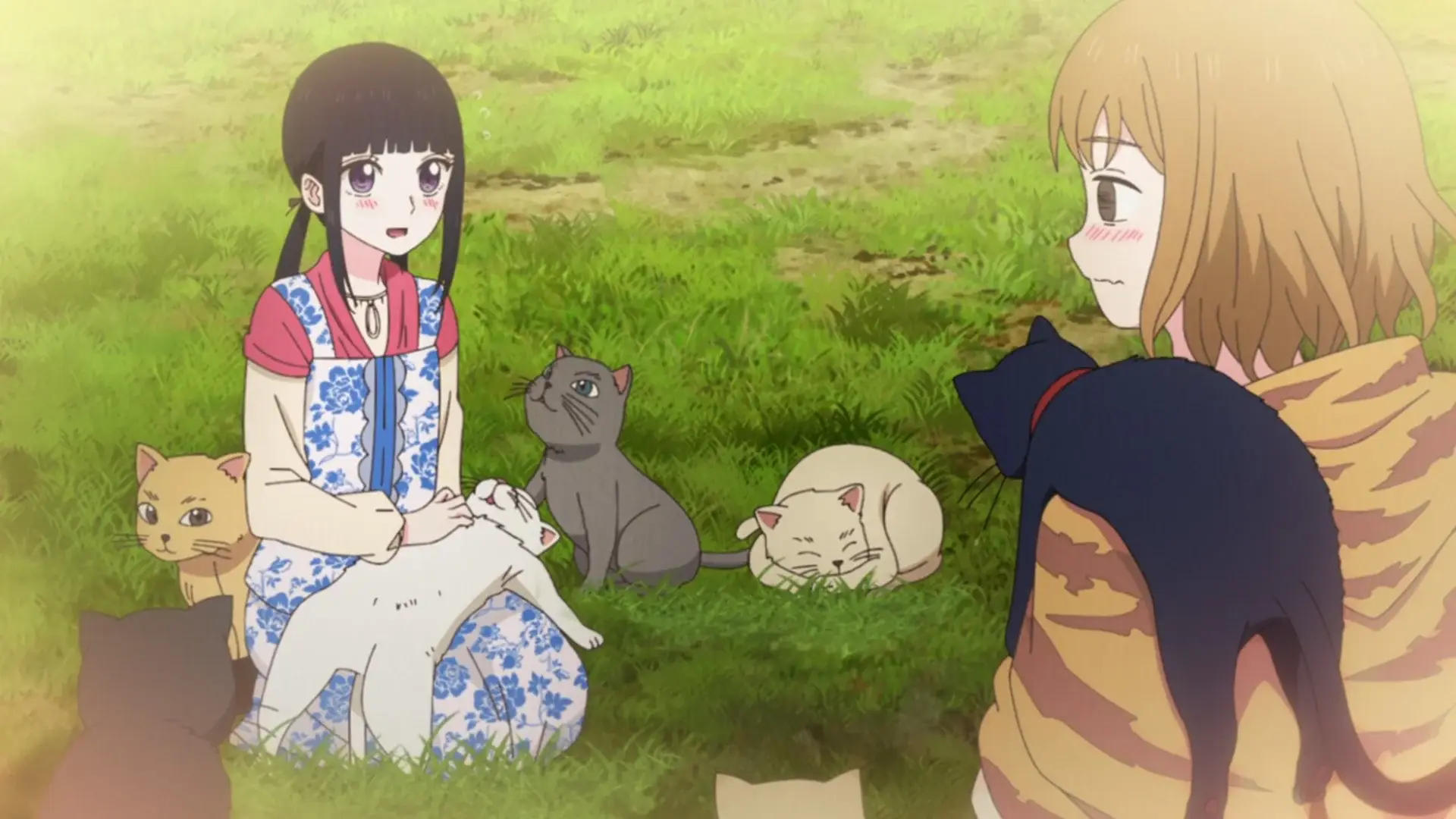 See? Even the other cats have fallen prey to Luna's attraction powers!