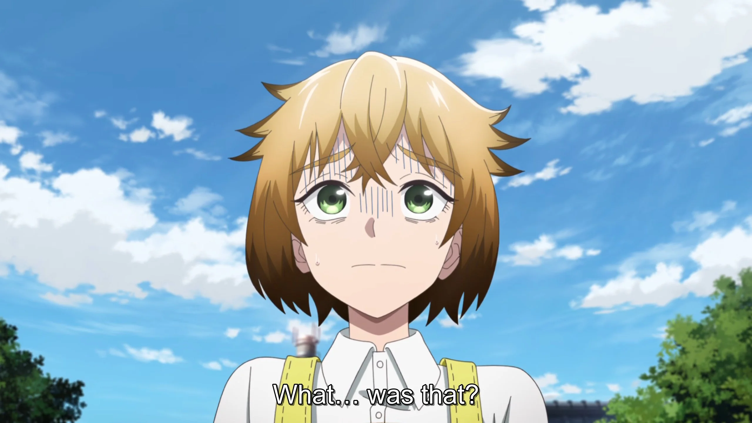 It was just the wind! Clearly just that!