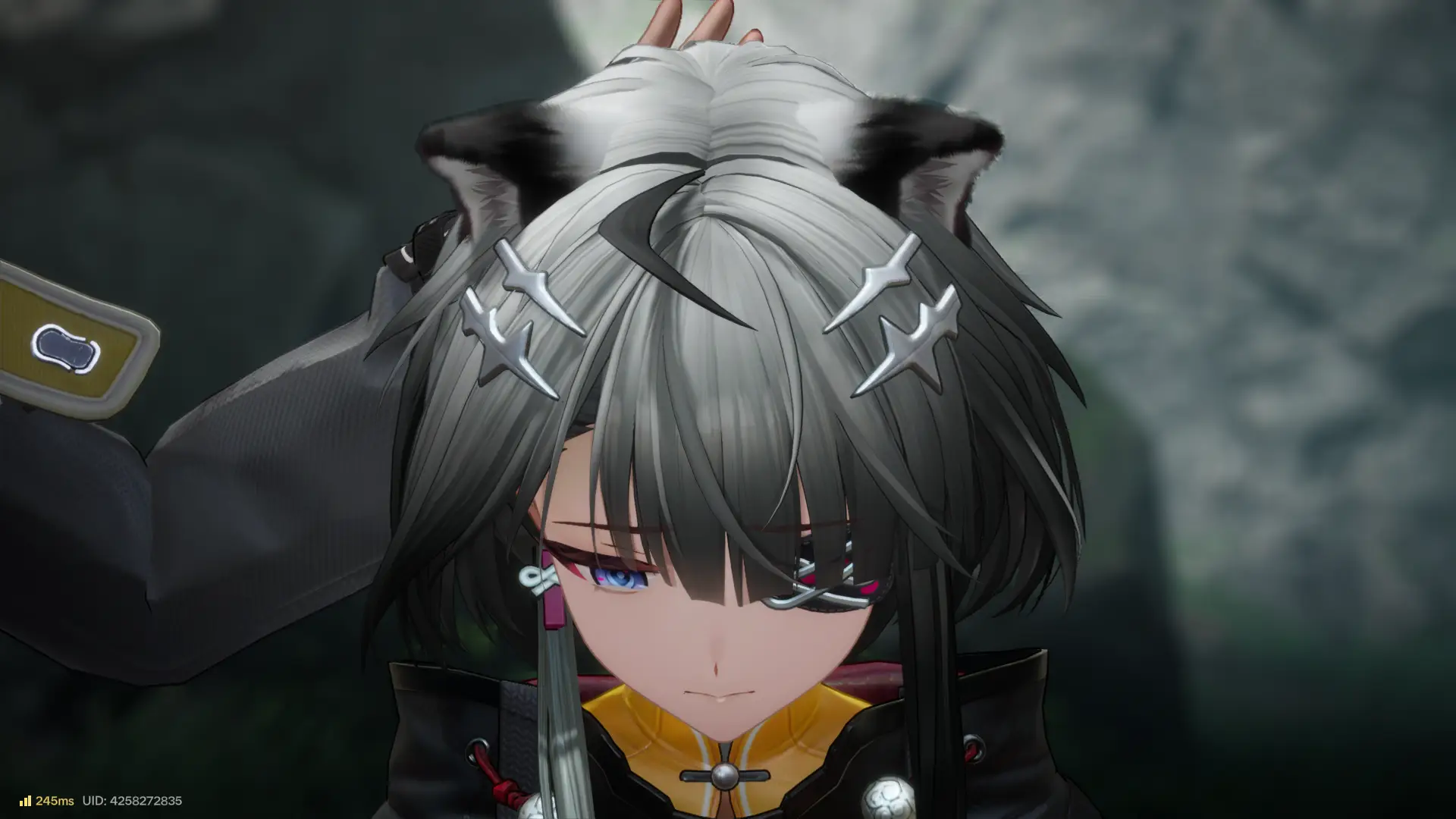 Always remember to headpat your cat because she needs it. Just look at Tangtang's face.