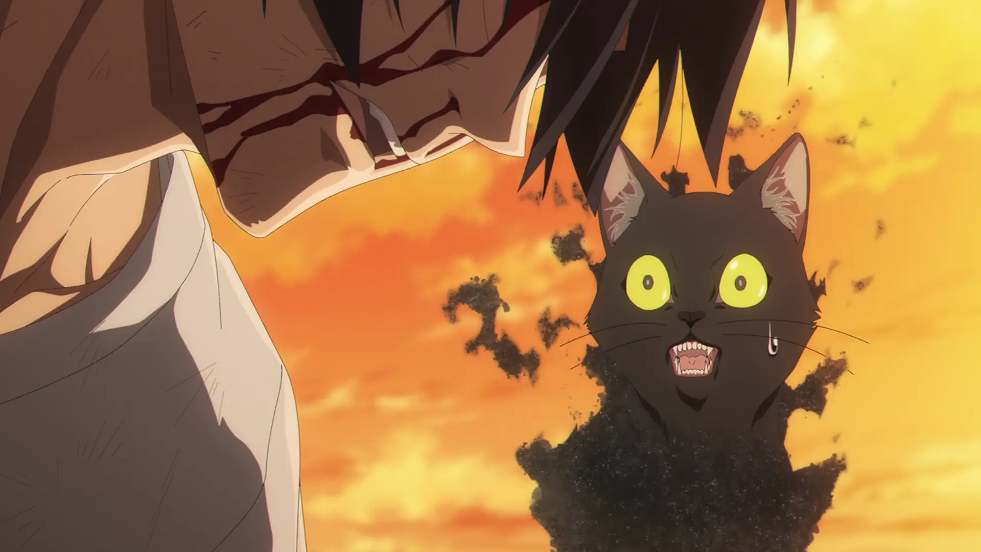 My reaction was sort of like Ragou to be honest, poor cat getting recruited without approval. Also that headbutt was...