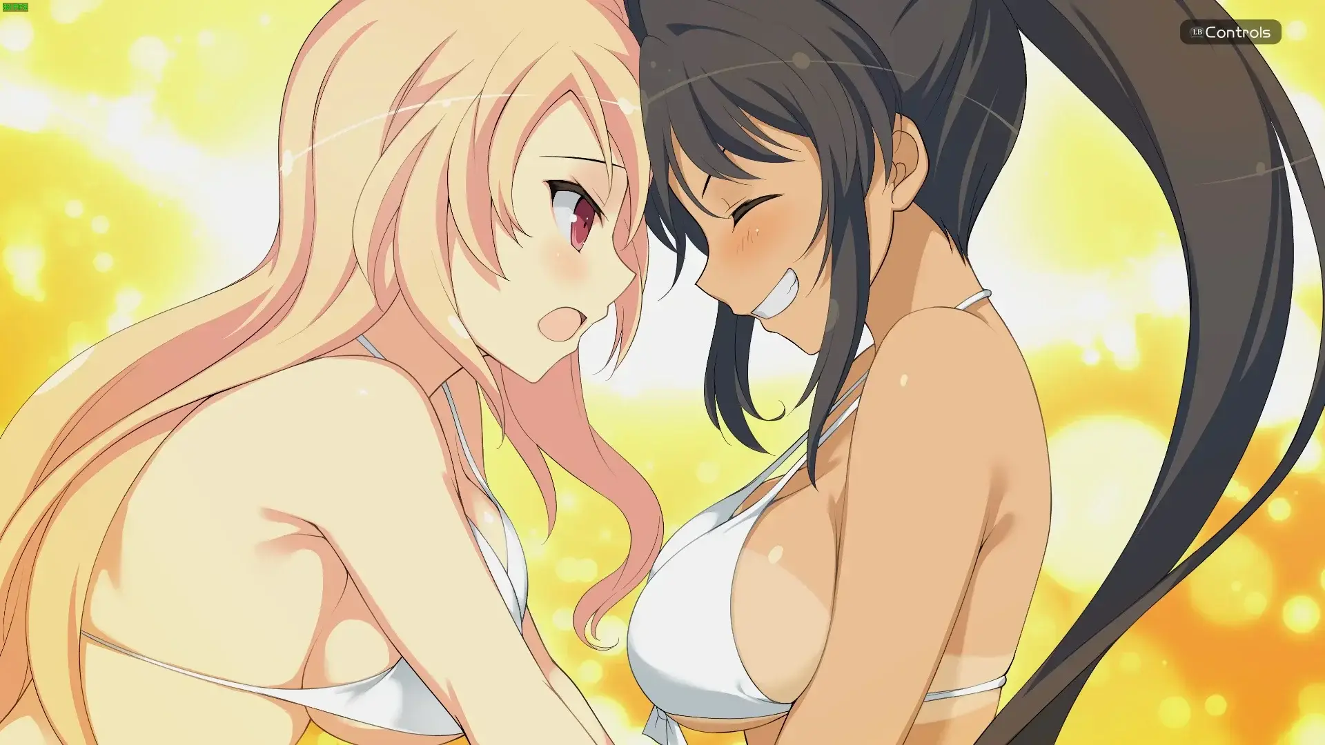 Of course never forget the light yuri elements that are thrown around the series. Never going too deep, but always sweet.