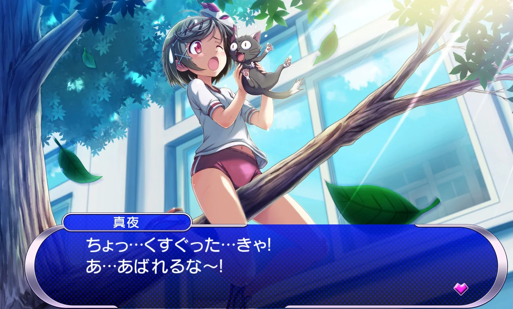 Saving cats is important.