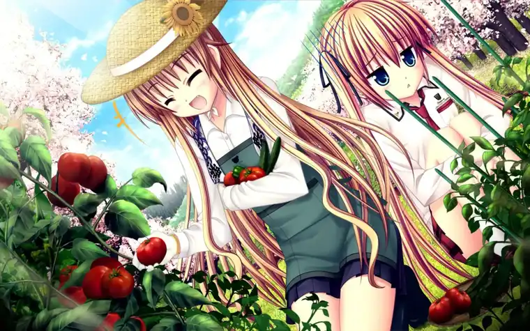 Sakura Sakimashita screenshot