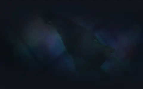 Just WHO is this mysterious Hookman that appeared to Suou in the latest scene? It's not Mayuri because she was just there talking with her so...there has to be something else...